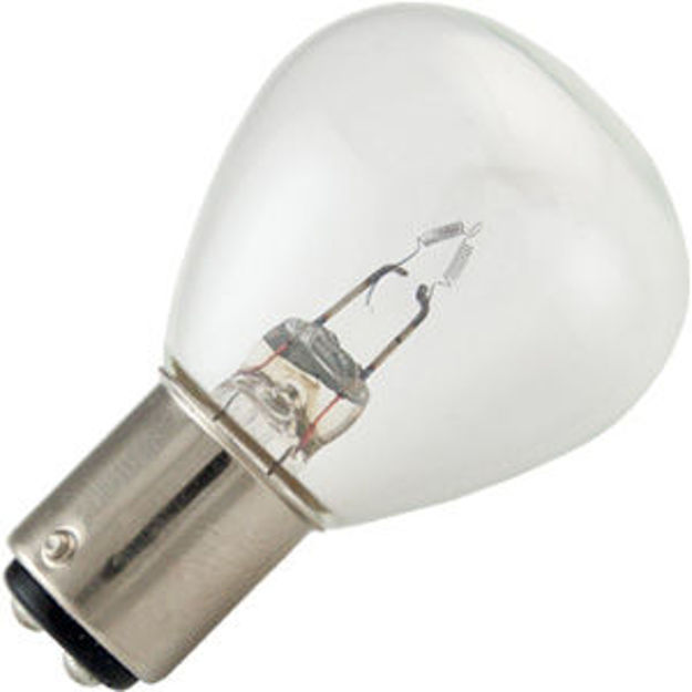 1196-bulb.jpg