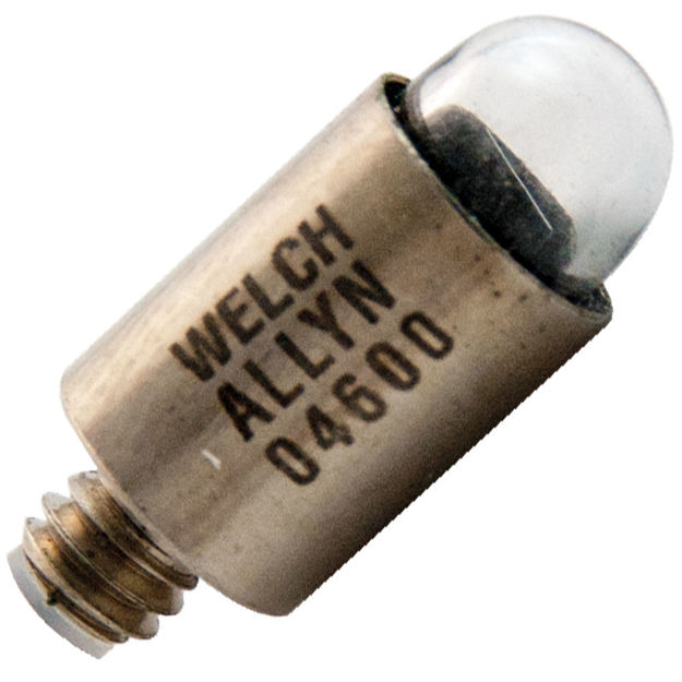 wa-04600-bulb.jpg