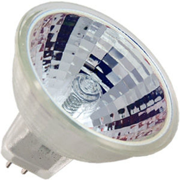 enx-7-bulb.jpg