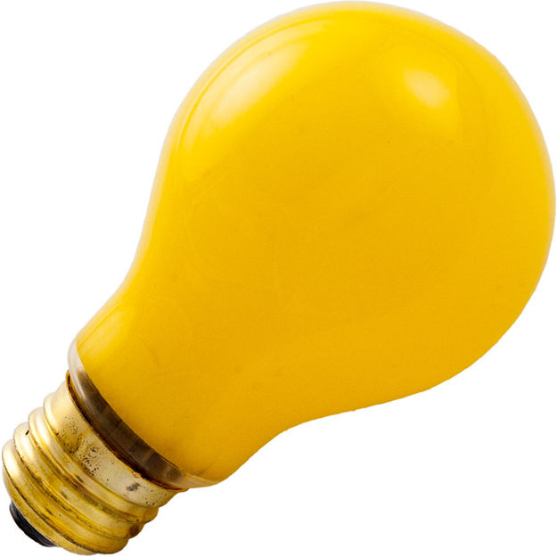 100a-yellow-buglight.jpg