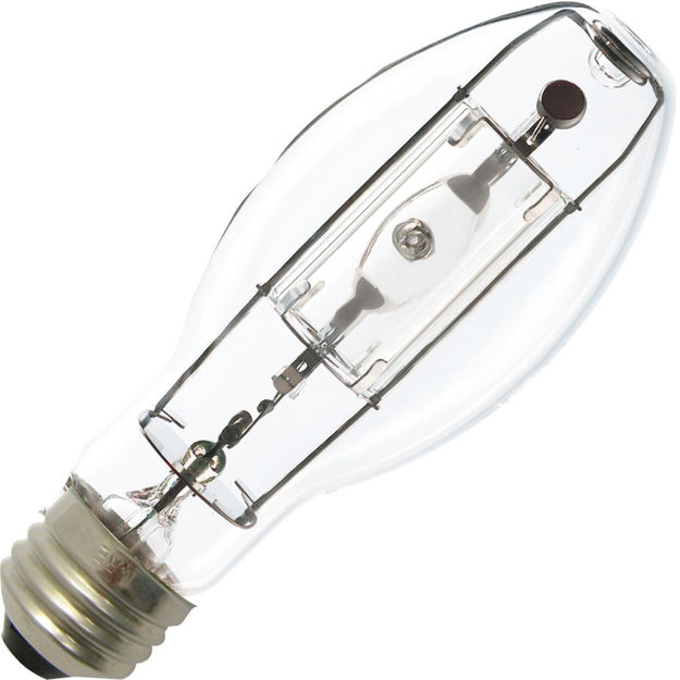standard-58020-bulb.jpg