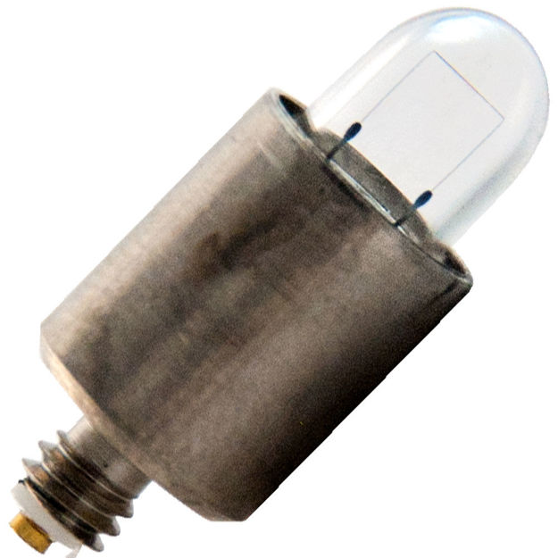 wa-01800-bulb.jpg